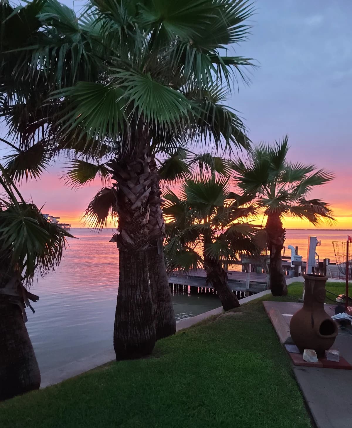 Palm trees and a green waterfront lawn frame a pink sunset over the bay.